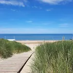 Liguster 8
