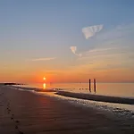 Liguster 8