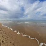 Liguster 8