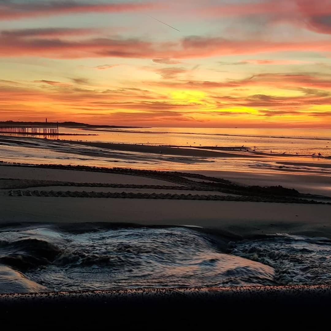 Liguster 8 Nieuwvliet